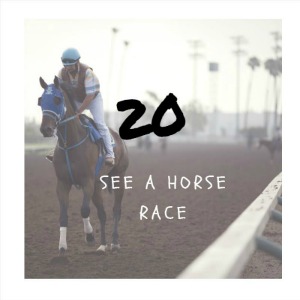 see a horse race