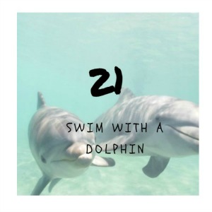 swim with a dolphin