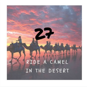 ride a camel in the desert