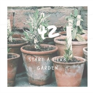 start a herb garden
